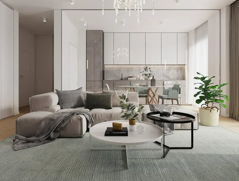 Cloud 9 Evolution Apartament 3 camere cu gradina